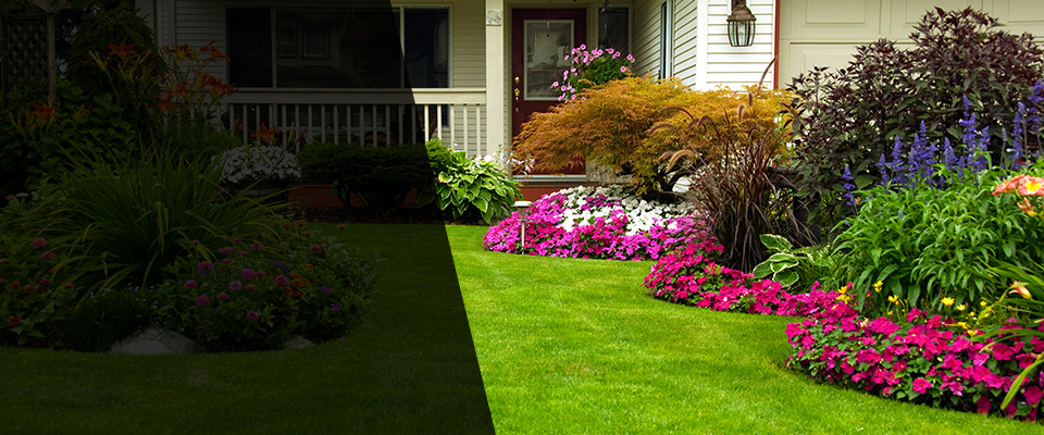 Dinwiddie Landscapers