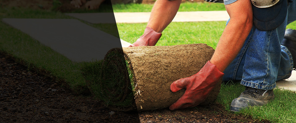 Dinwiddie Landscapers